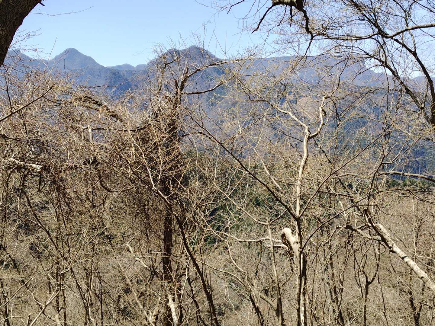 振り返ると荒船山

前回はこの辺でお会いした紳士が荒船山にまつわるご本人の武勇伝を聞かせてくれました😆