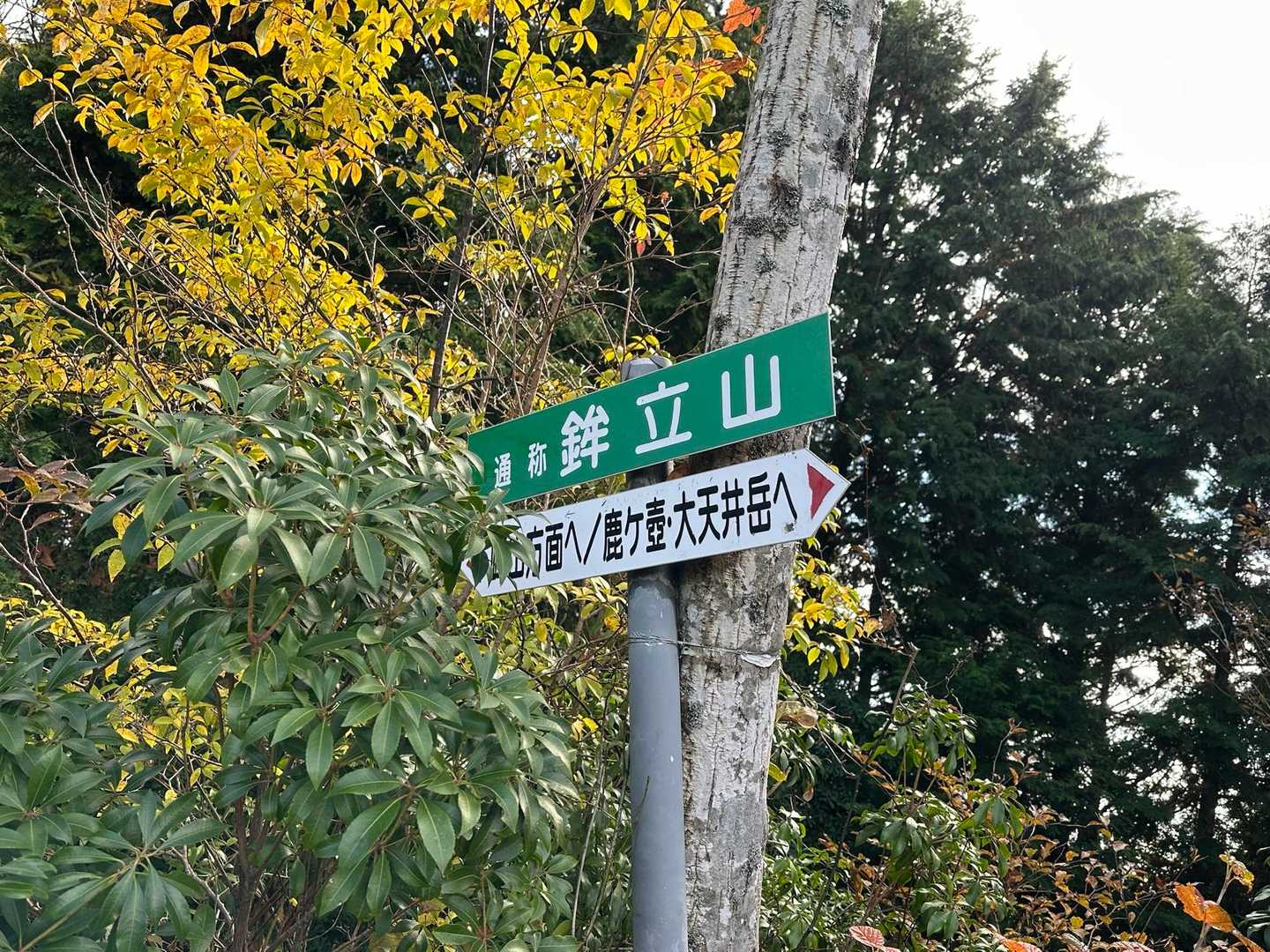 3座目の鉾立山🪧
ここからは氷ノ山も見えるらしいゾ❗️
