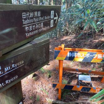 やませみコースの復活も願います