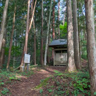 蔵王堂を通過して