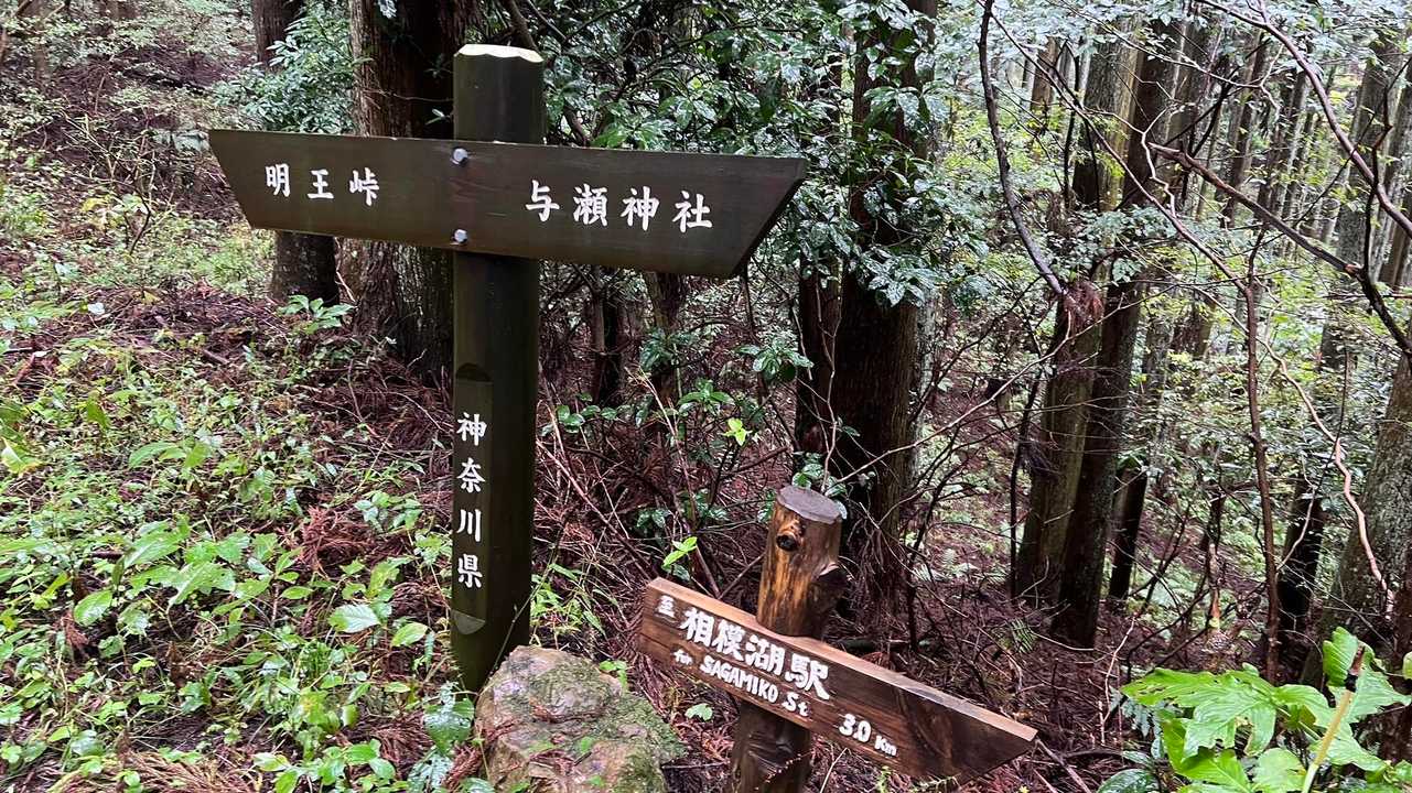 孫山・堂所山・景信山・城山（小仏城山）・高尾山・神変山 の写真 30