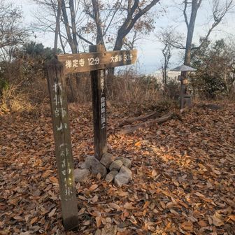 ここまで
結構な激登りだった

ちょっと舐めてた💦