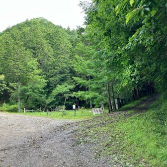 さらに右へ➡️