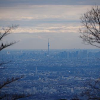 スカイツリー見えた！
東京のヒトにとっては珍しい景色じゃないらしい…