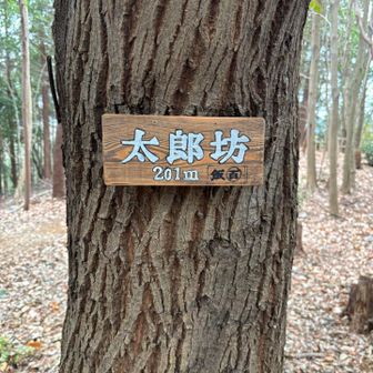 次は太郎坊です。