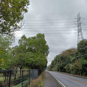 天気危ないな
昔は雨も楽しかったけど…