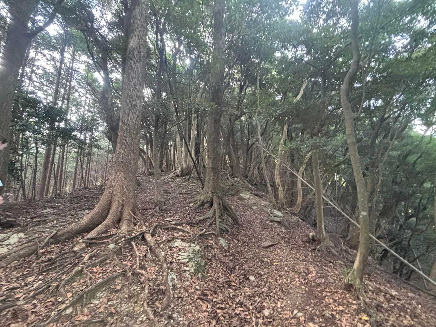 蒸し暑くて、すぐに汗が吹き出す🥵