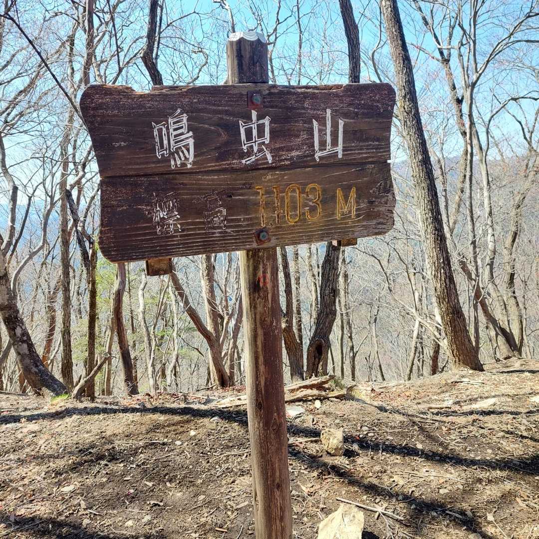 山頂は賑やかでした。