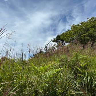 1,700mは秋の気配をですね！🍂