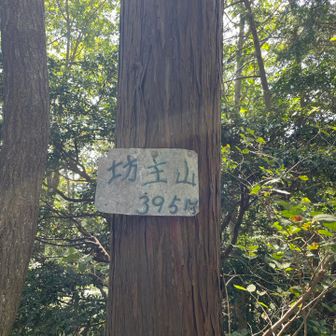 坊主山