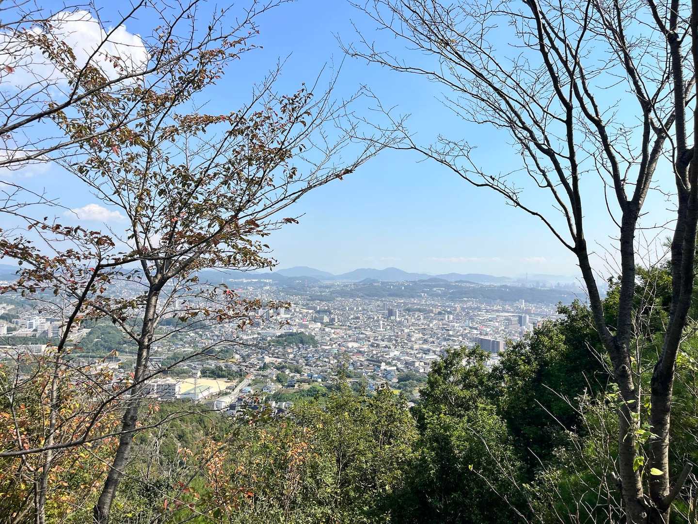 蔵王山 往復コースの写真