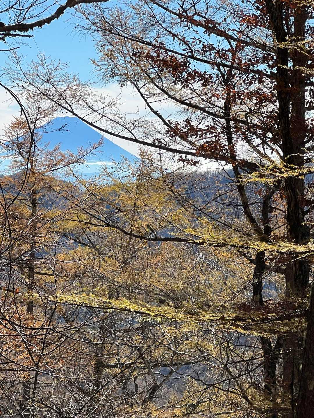 大弛峠-朝日峠-朝日岳-金峰山-瑞牆山荘バス停 縦走コースの写真