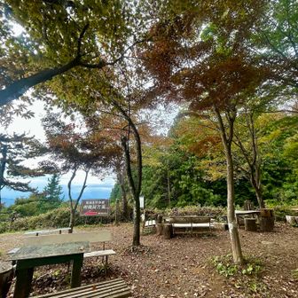 何気に紅葉が。上手く撮れず