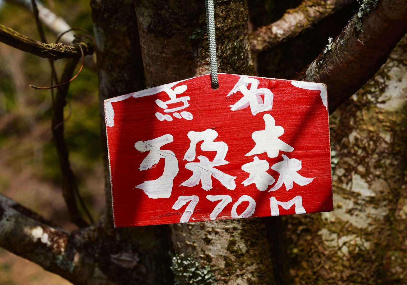 万朶山　この漢字を使うと木々が重なり合う森という意味になりますね。