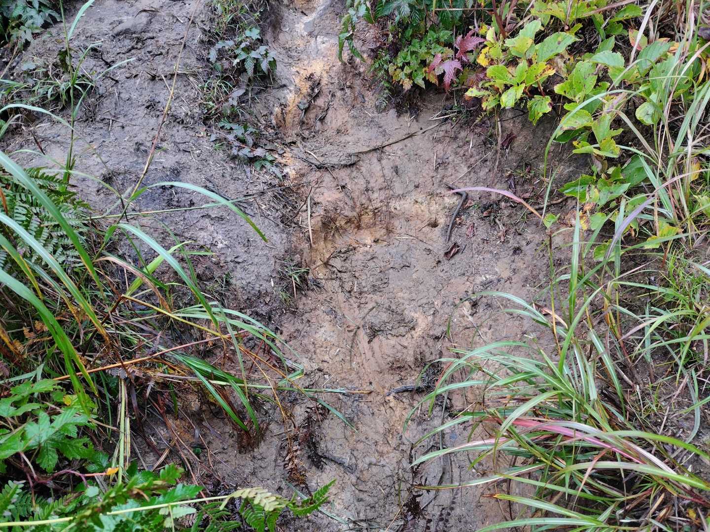 雨でツルツル😅
滑らずには登れません😭
