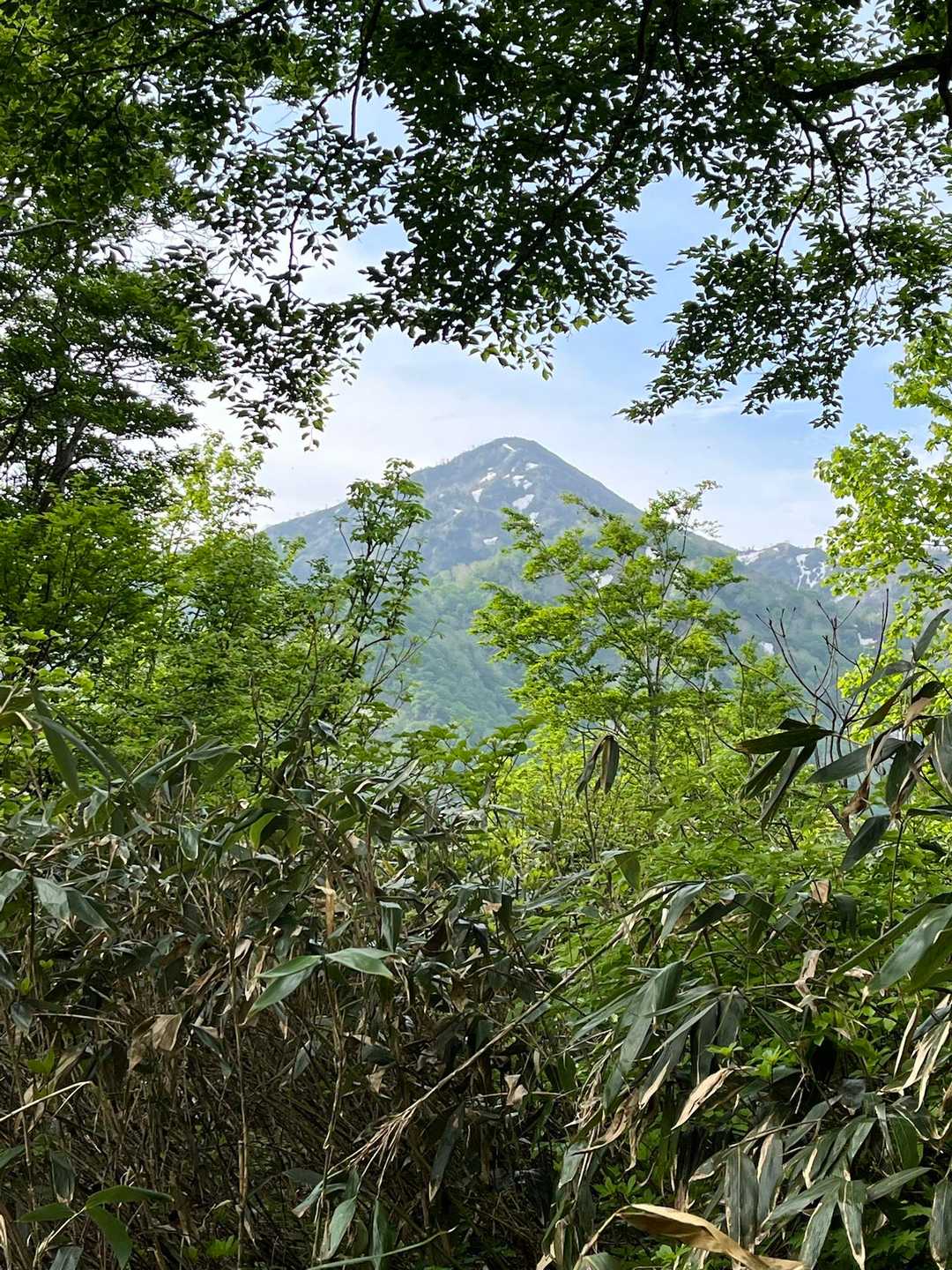 大品山に寄り道の途中での鍬崎山⛰️
相変わらず遠いな
