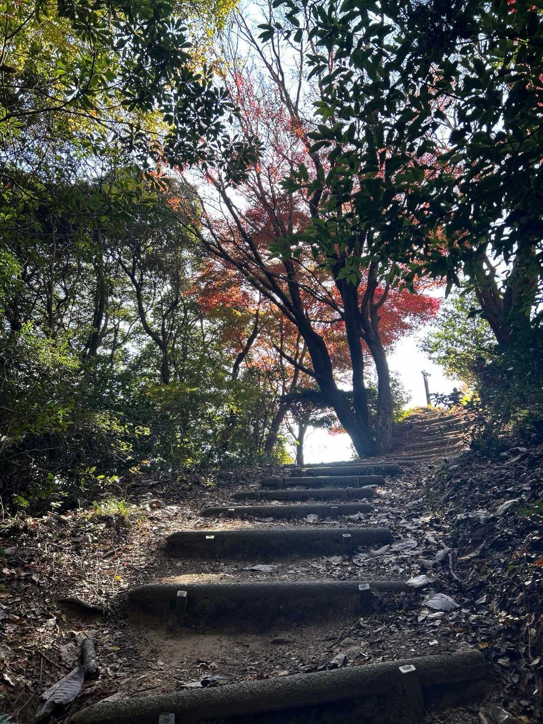 もうすぐだね👀