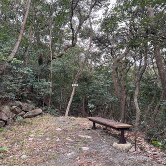 下山道から出てきたところ