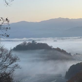 見飽きません！