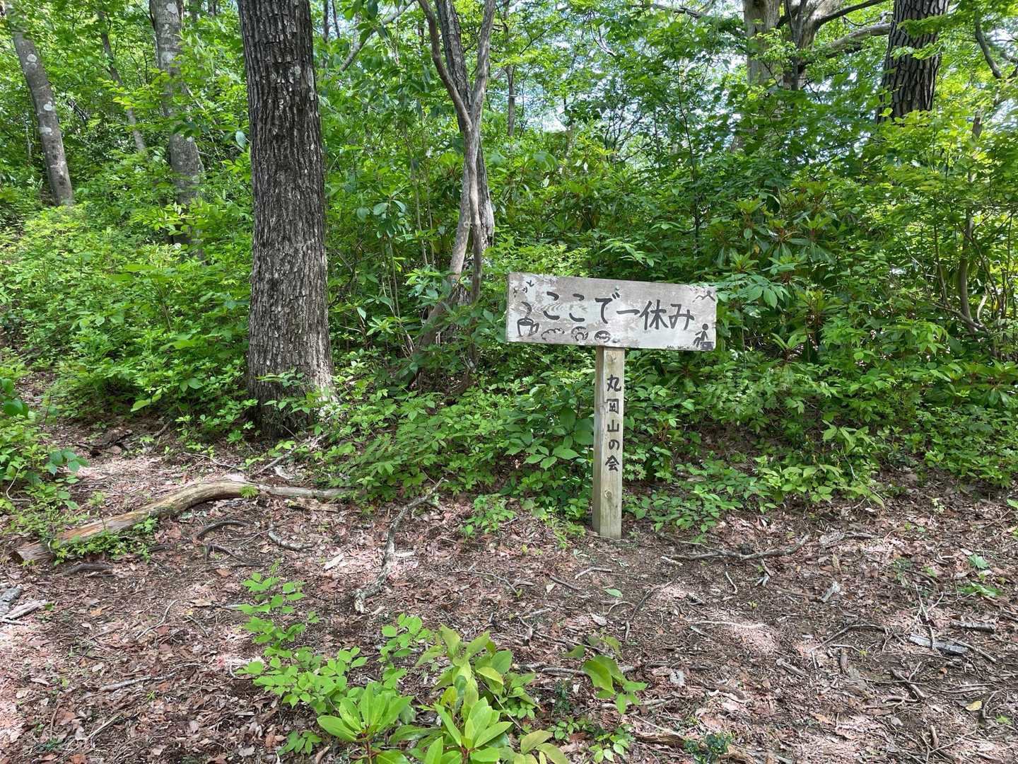 一休み一休み。
登りでは新道（ここ）を通ったけど、下りは旧道で。