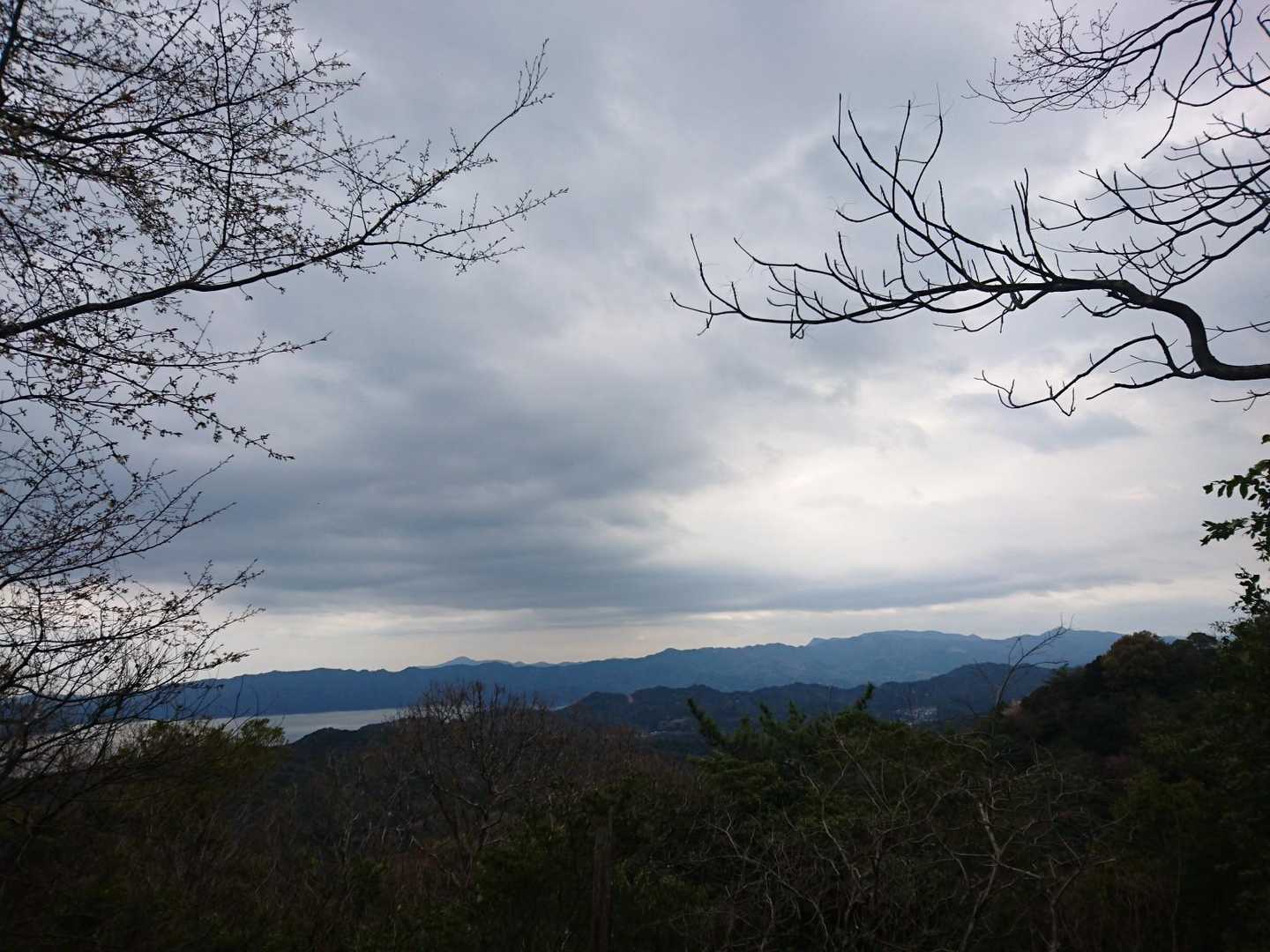 開けました✨