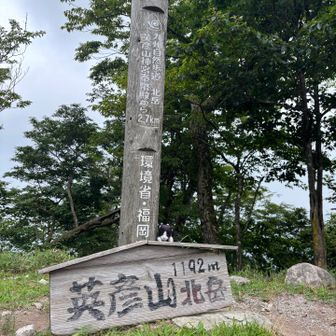 きただけ登頂！
今日はここまで