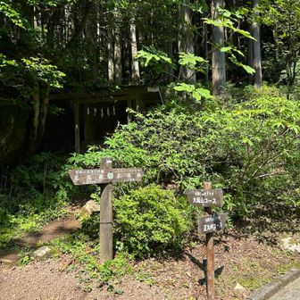 正丸駅から舗装された道を進んで登山口に