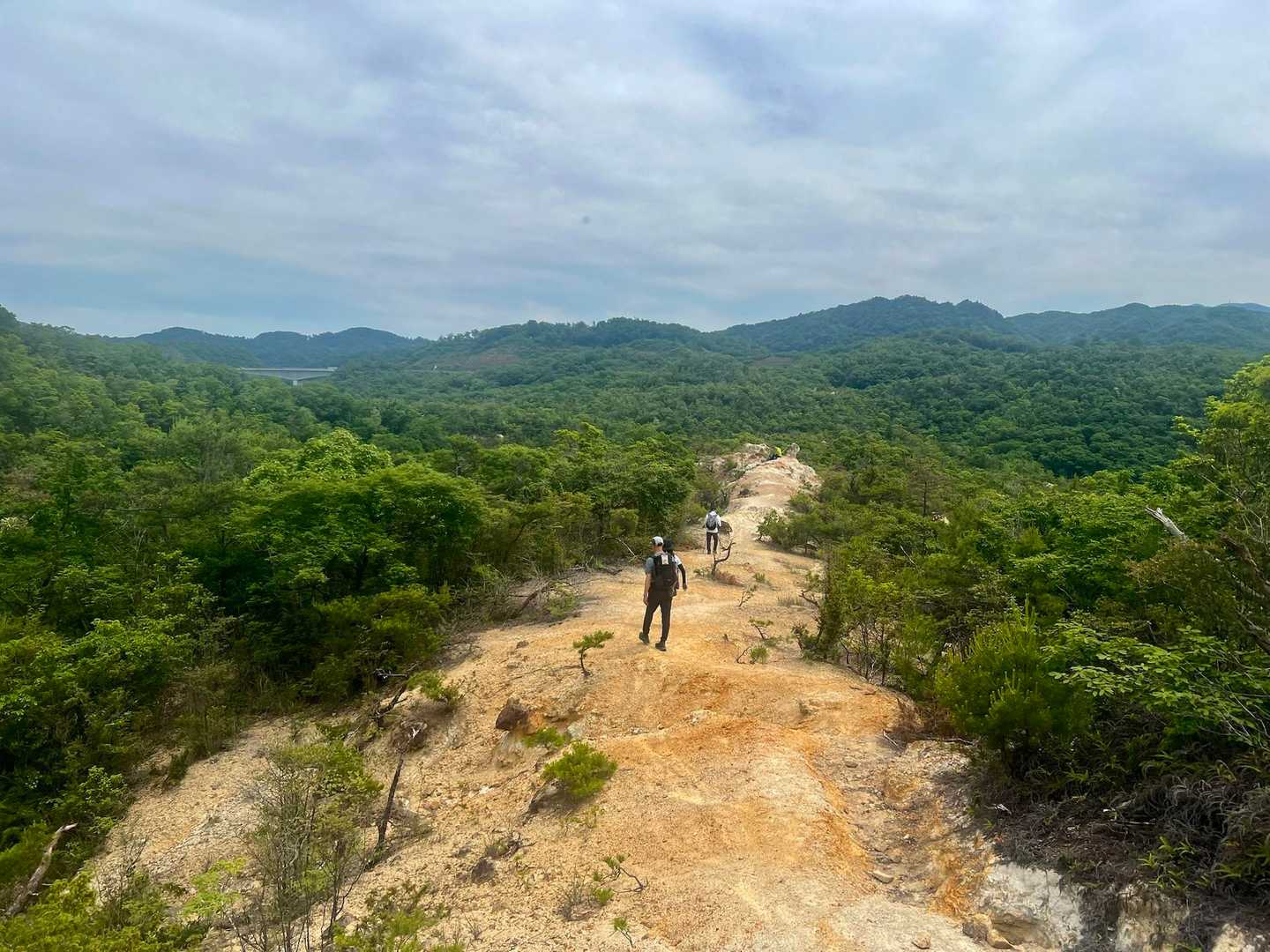太陽と緑の道・千苅大岩岳コースの写真