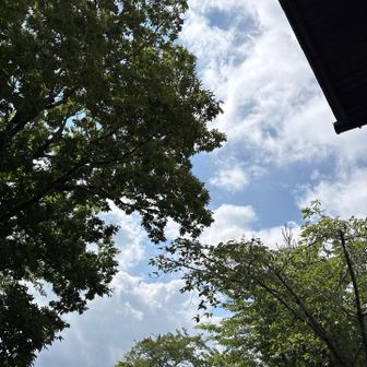 青空出てきた