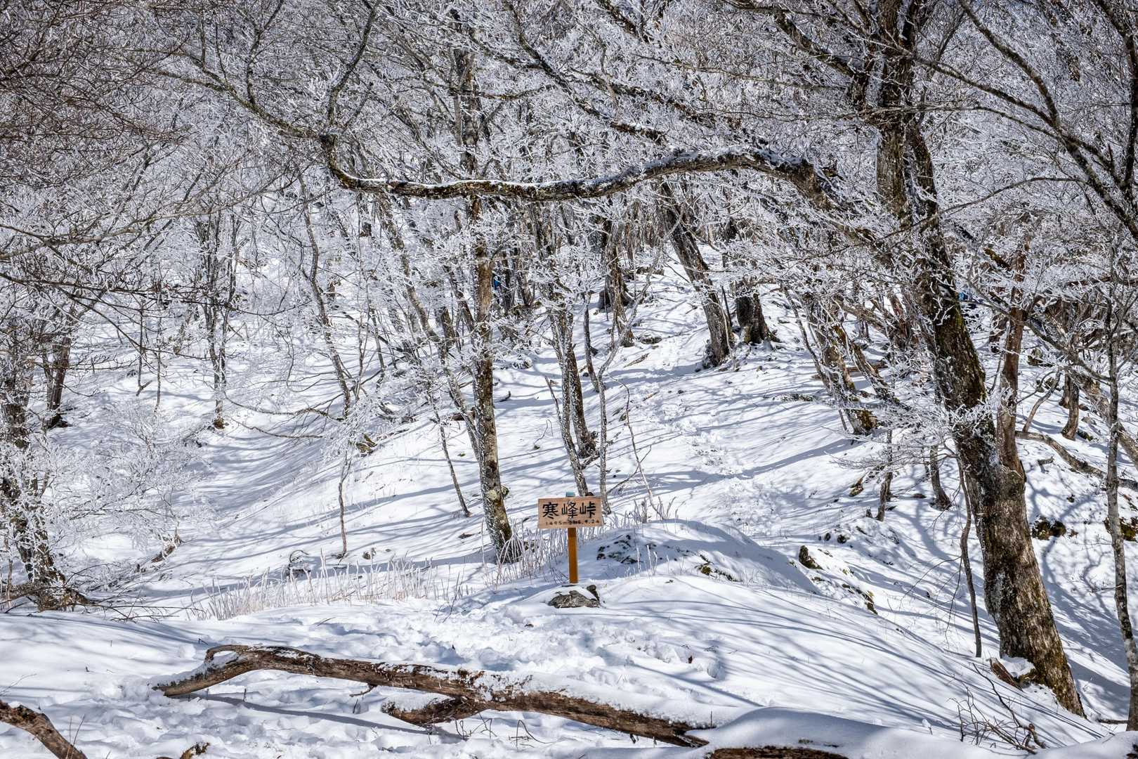なんだかんだで寒峰峠