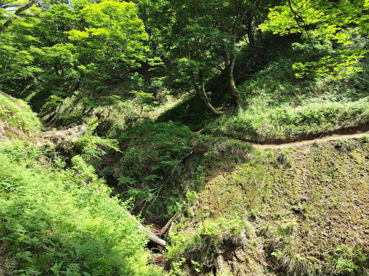 赤坂山 往復コースの写真
