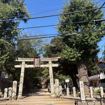 駒込富士🗻