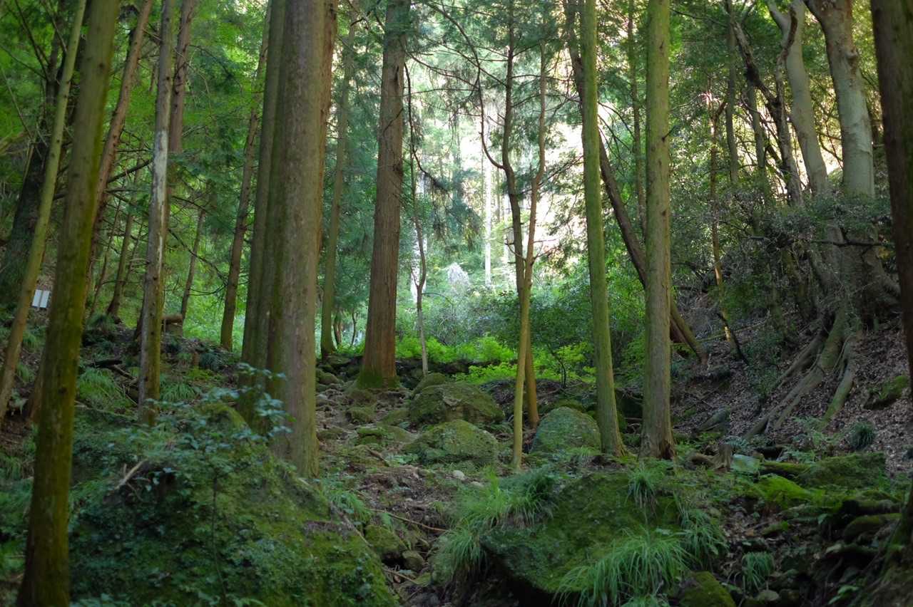 この世界観がすき❤️