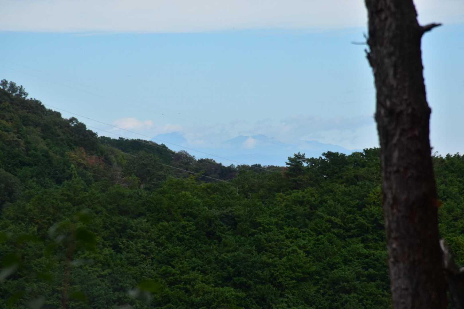 物見山-小瀬名富士 周回コースの写真