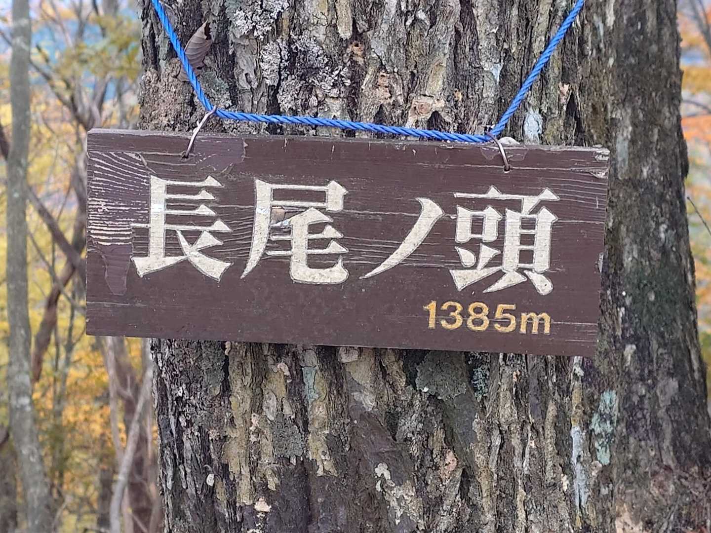 鷹ノ巣山-水根山-城山-六ツ石山-長尾ノ頭 周回コースの写真