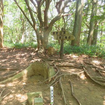 摩耶山 山頂＼(^o^)／