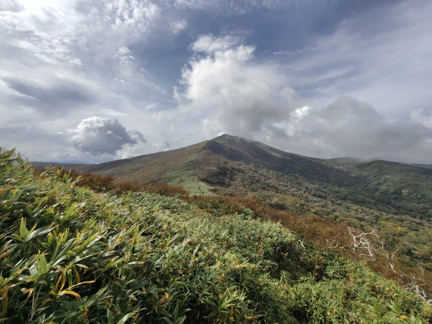 良いお山です