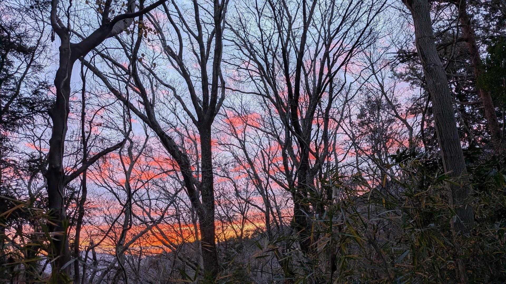 朝焼けが🌞