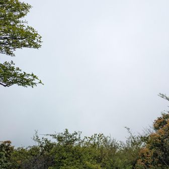 一瞬だけガスった