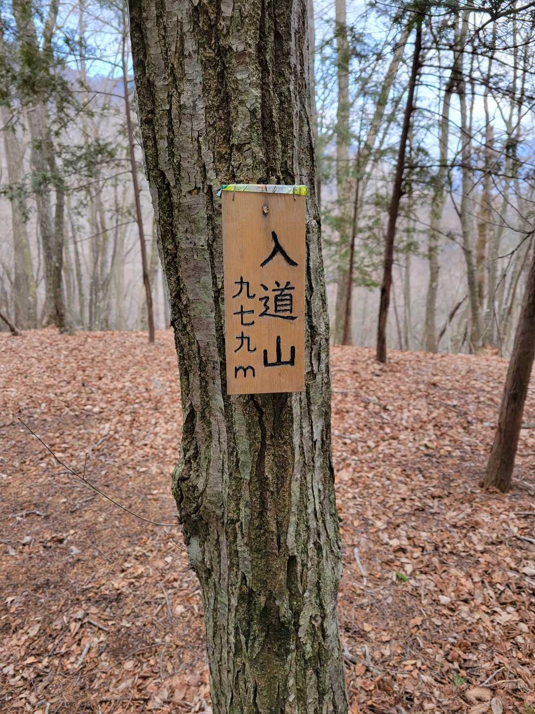 入道山（山梨県南都留郡道志村）の写真