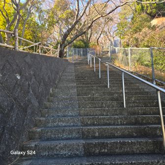 そしたらね…階段と階段の間に踊場的な所があって、椅子が設置されている、明日からは大活躍間違いなしの休憩所😅