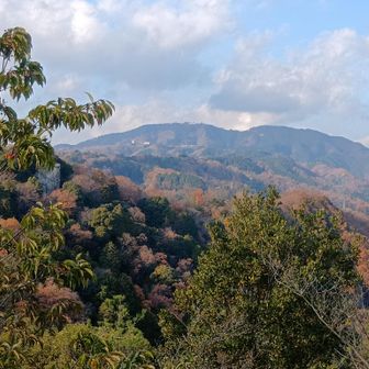 比叡山
この前登った..
