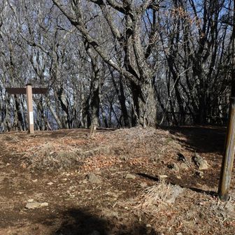 破風山頂上も見晴らしはありません。