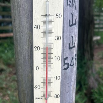 22℃弱