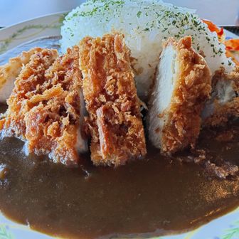 フードコートとは思えない豪華なとんかつにゃ。