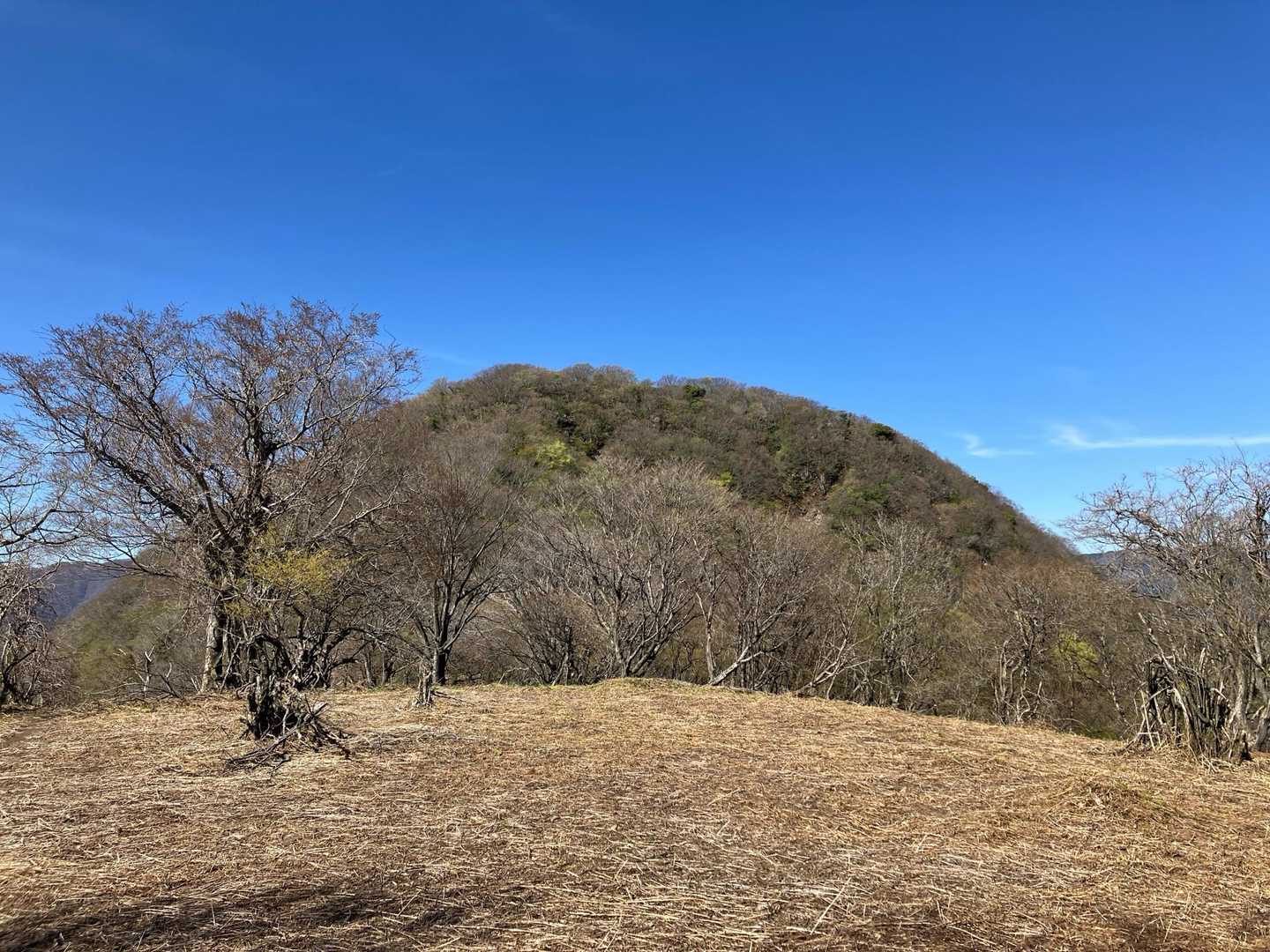 the飯盛山🍚