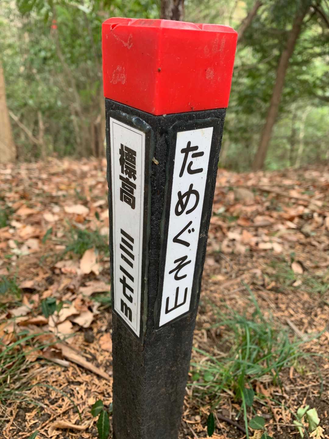 何も無い山頂。
何故こんな名前の山になった？