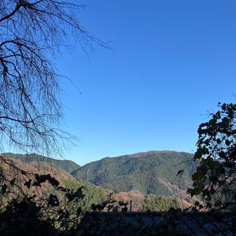 登山口から陣場山がよく見えた、朝は気づかなかった、とゆうか振り返らなかったw