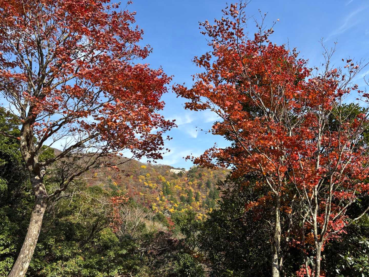 ❤️赤色の先に釈迦ヶ岳