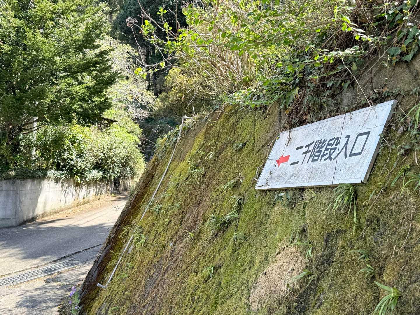 10分くらい下った所で地図を見て、登り返しました
こちらの看板反対側からは見えなく見過ごして下ってしまいました